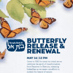 Butterfly Release and Renewal